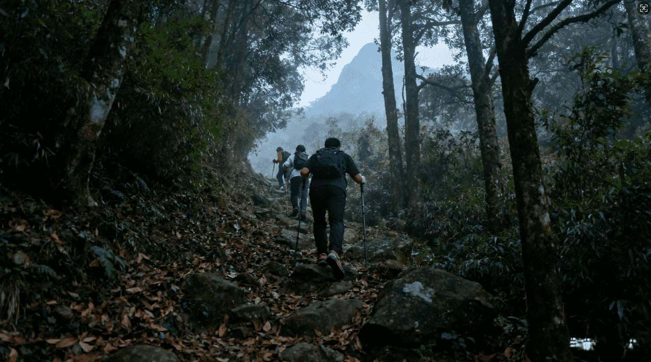 如何快速下载原子加速器安卓版软件指南